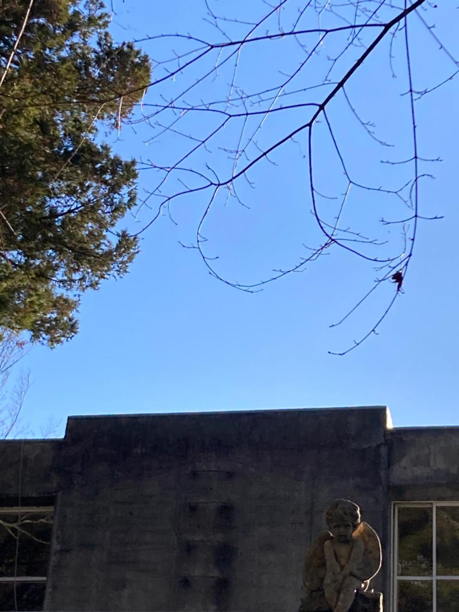 箱根 杜の宿 エクステリア 写真